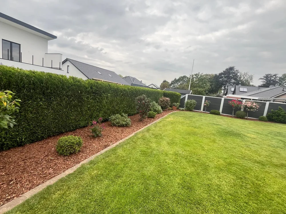 Frisch geschnittene Hecke mit neu gemulchtem Beet und gemähtem Rasen in Stade