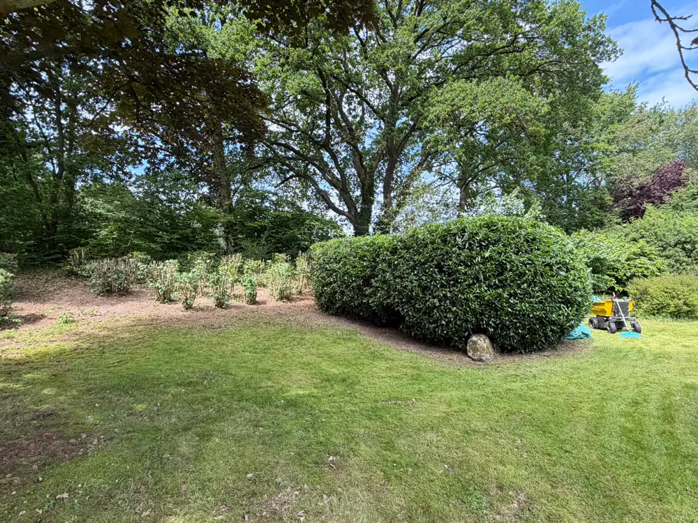 Großer Garten mit frisch in Form geschnittener Kirschlorbeerhecke und gemähtem Rasen