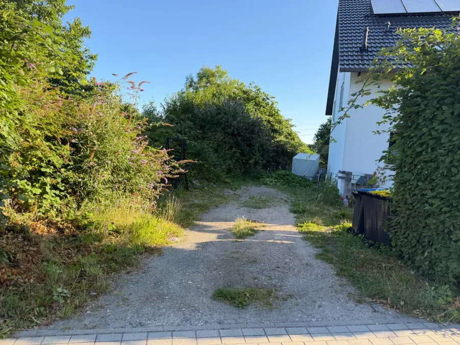 Zufahrt vorher: ausgefahrener Schotterweg, zugewachsen von Gras und Sträuchern