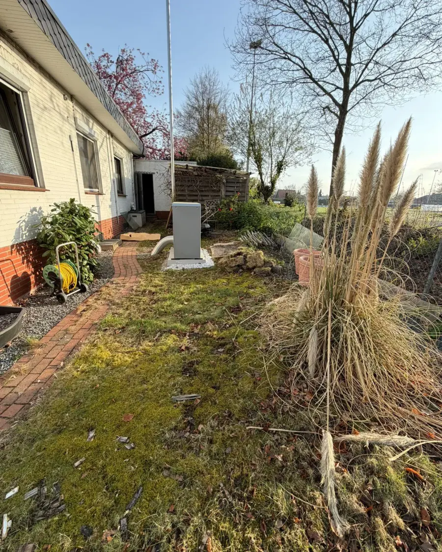 Seitengarten vorher: vermooste Lückenfläche, alter Maschendrahtzaun und überwachsenes Pampasgras