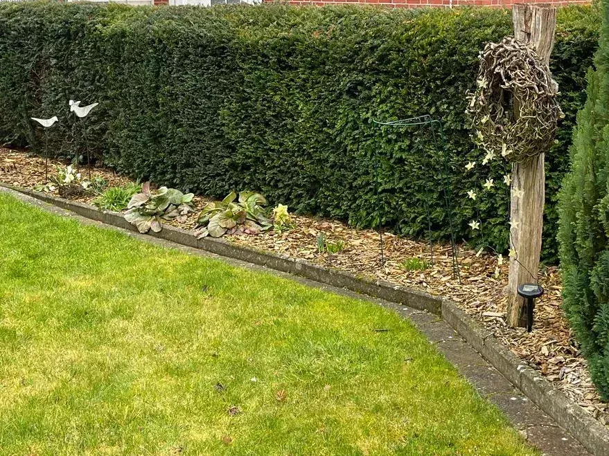 Vorgarten vorher: offene Hecke, von der Straße einsehbar